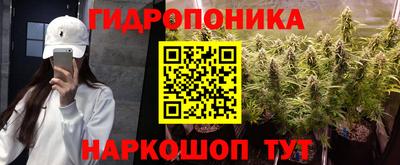 молекула духа Краснознаменск